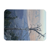 Mount San Jacinto State Park Magnet (Horizontal)