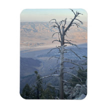 Mount San Jacinto State Park