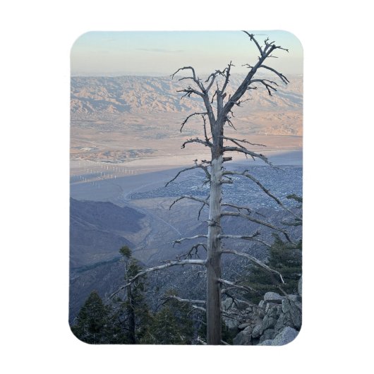 Mount San Jacinto State Park Magnet (Vertikal)