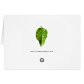 Mount Shasta (Rückseite Horizontal)