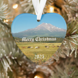 Mount Shasta Horse Herd Akryllische Ornamente