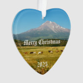 Mount Shasta Horse Herd Akryllische Ornamente (Vorderseite)