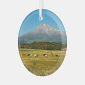 Mount Shasta Horse Herd Ornament Aus Glas (Vorderseite links)