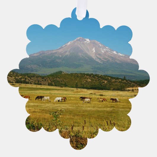 Mount Shasta Horse Herd Ornament Karte (Vorderseite)