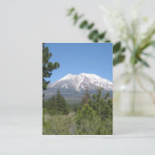 Mount Shasta Kalifornien Postkarte (Stehend Vorderseite)