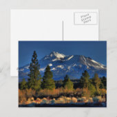 MOUNT SHASTA - PAINTERY POSTKARTE (Vorne/Hinten)