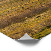 MOUNT SHASTA POSTER (Ecke)