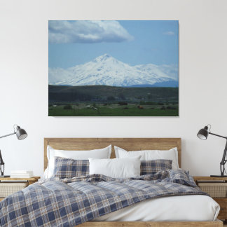 Mount Shasta und Freunde Leinwanddruck