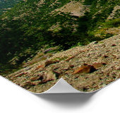 Mount St. Helens Poster (Ecke)