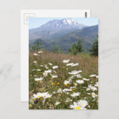 Mount St. Helens Postkarte (Vorne/Hinten)