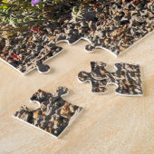 Mount St. Helens Puzzle (Seite)