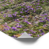 Mount St Helens Wildblumen Fotografisch Poster (Ecke)