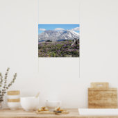 Mount St Helens Wildblumen Fotografisch Poster (Küche)