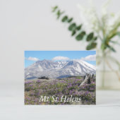 Mount St Helens Wildblumen Reisen Foto Postkarte (Stehend Vorderseite)