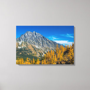 Mount Stuart & Herbstlarven Leinwanddruck