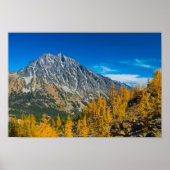 Mount Stuart & Herbstlarven Poster (Vorne)