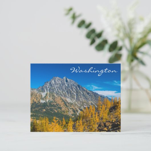 Mount Stuart & Herbstlarven Postkarte (Stehend Vorderseite)