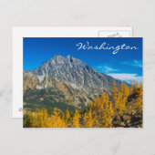 Mount Stuart & Herbstlarven Postkarte (Vorne/Hinten)