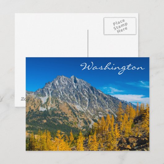 Mount Stuart & Herbstlarven Postkarte (Vorne/Hinten)