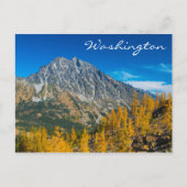 Mount Stuart & Herbstlarven Postkarte (Vorderseite)