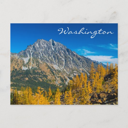 Mount Stuart & Herbstlarven Postkarte (Vorderseite)