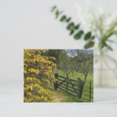 Mount Stuart Orchard & Gate Isle of Bute, Schottla Postkarte (Stehend Vorderseite)