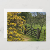 Mount Stuart Orchard & Gate Isle of Bute, Schottla Postkarte (Vorne/Hinten)