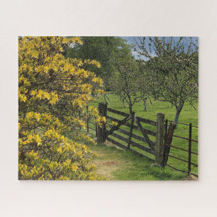 Mount Stuart Orchard & Gate Isle of Bute, Schottla Puzzle