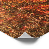 Mount Sugarloaf Connecticut Flusstal Herbst Poster (Ecke)