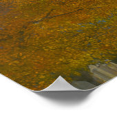 Mount Timpanogos Utah Tempel Gemälde™ LDS Poster (Ecke)