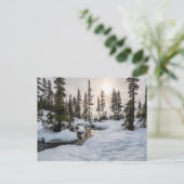 Mount Washington, British Columbia Postkarte (Stehend Vorderseite)