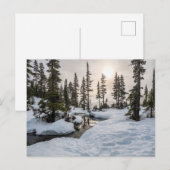 Mount Washington, British Columbia Postkarte (Vorne/Hinten)