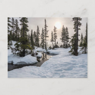 Mount Washington, British Columbia Postkarte