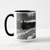 Mount Washington Cog Bahnhof vom Bahnhof Waumbek Tasse (Links)