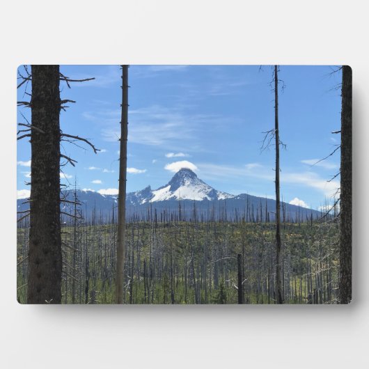 Mount Washington Fotoplatte (Vorderseite)