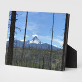 Mount Washington Fotoplatte (Seite)