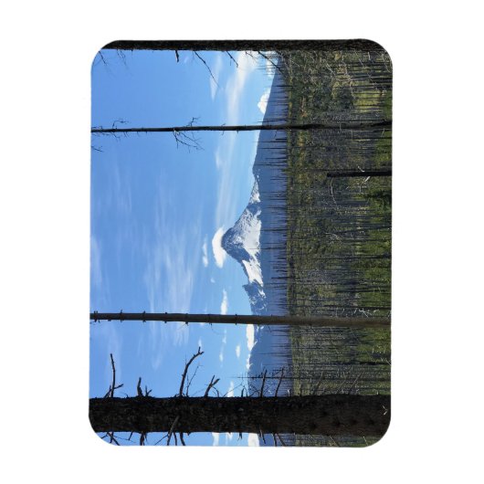 Mount Washington Magnet (Vertikal)