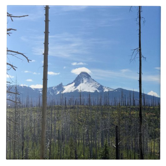 Mount Washington, OR Fliese (Vorderseite)