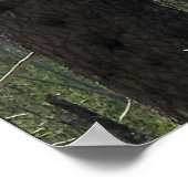 Mount Washington Poster (Ecke)