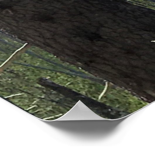 Mount Washington Poster (Ecke)