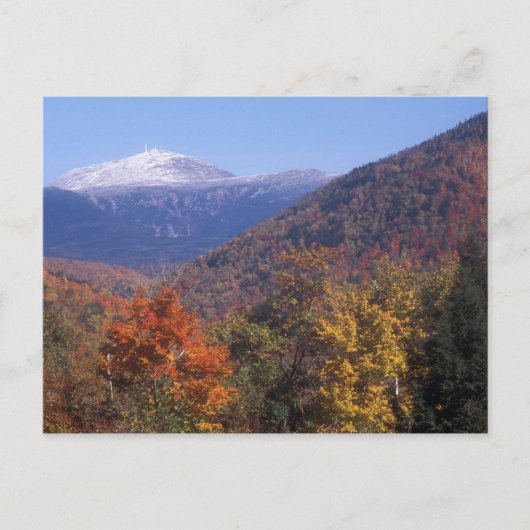 Mount Washington Snow Foliage Postkarte (Vorderseite)