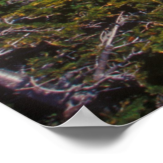 Mount Washington Winter Treeline View Poster (Ecke)