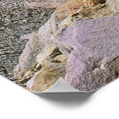 Mount Whitney und Wildblumen Poster (Ecke)