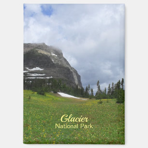 Mountain and Meadow Glacier National Park Foto Magnet