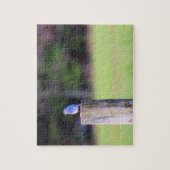 Mountain Blue Bird - 8 x 10 Zoll Puzzle (Vertikal)