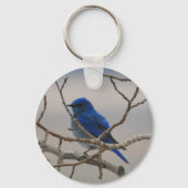 Mountain Blue Bird Schlüsselanhänger (Vorderseite)