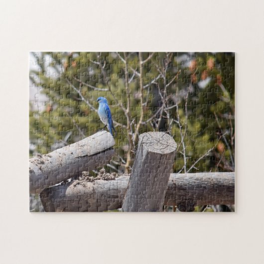 Mountain Bluebird - 11x14 - 252 Stk. Puzzle (Horizontal)