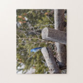 Mountain Bluebird - 11x14 - 252 Stk. Puzzle (Vertikal)