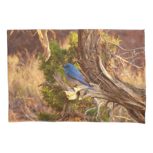 Mountain Bluebird at Arches National Park Kissenbezug (Vorderseite)