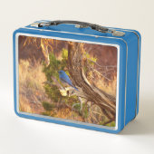 Mountain Bluebird at Arches National Park Metall Brotdose (Rückseite)